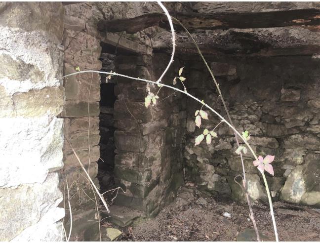 Anteprima foto 8 - Terreno Agricolo/Coltura in Vendita a Camugnano - Stagno