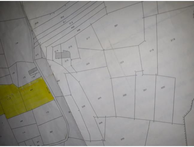 Anteprima foto 3 - Terreno Agricolo/Coltura in Vendita a Cantarana (Asti)