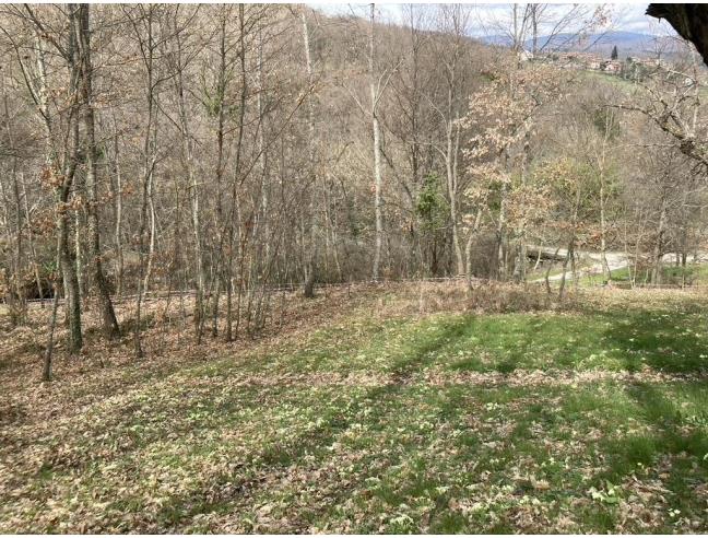Anteprima foto 8 - Terreno Agricolo/Coltura in Vendita a Caprese Michelangelo - Manzi
