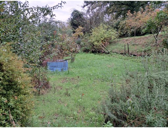 Anteprima foto 1 - Terreno Agricolo/Coltura in Vendita a Carmignano - Le Barche