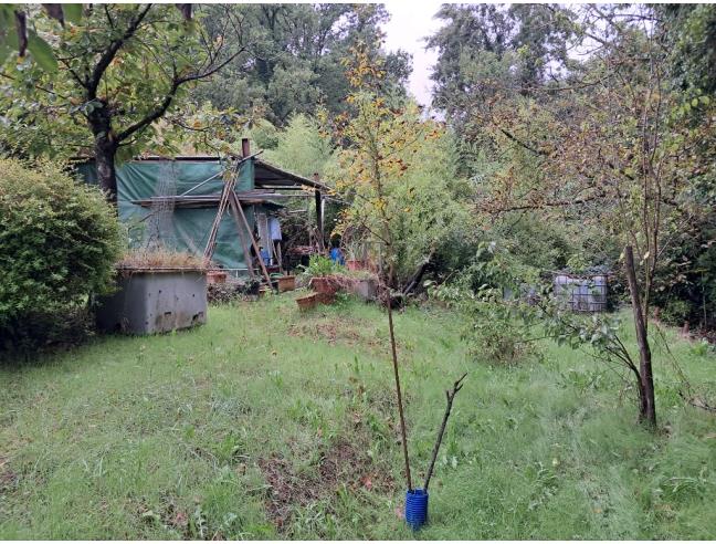 Anteprima foto 3 - Terreno Agricolo/Coltura in Vendita a Carmignano - Le Barche