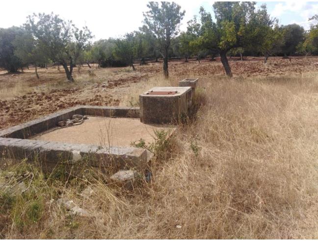 Anteprima foto 1 - Terreno Agricolo/Coltura in Vendita a Carovigno (Brindisi)