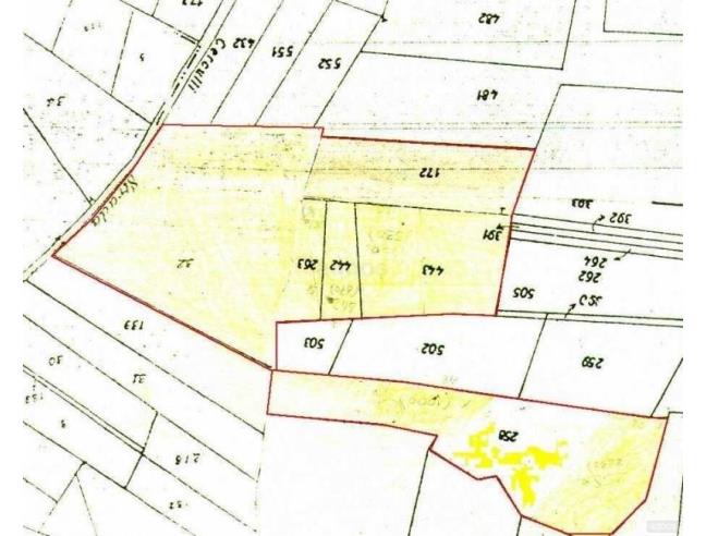 Anteprima foto 2 - Terreno Agricolo/Coltura in Vendita a Casalvieri (Frosinone)
