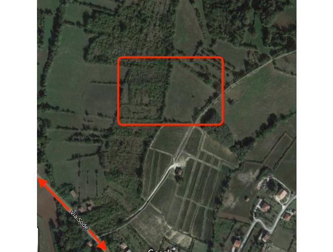 Anteprima foto 4 - Terreno Agricolo/Coltura in Vendita a Casalvieri (Frosinone)