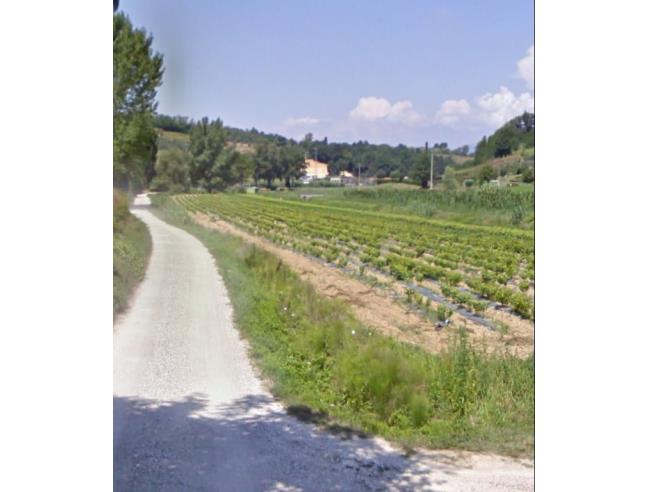 Anteprima foto 2 - Terreno Agricolo/Coltura in Vendita a Casciana Terme Lari (Pisa)