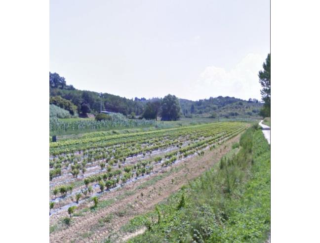 Anteprima foto 3 - Terreno Agricolo/Coltura in Vendita a Casciana Terme Lari (Pisa)