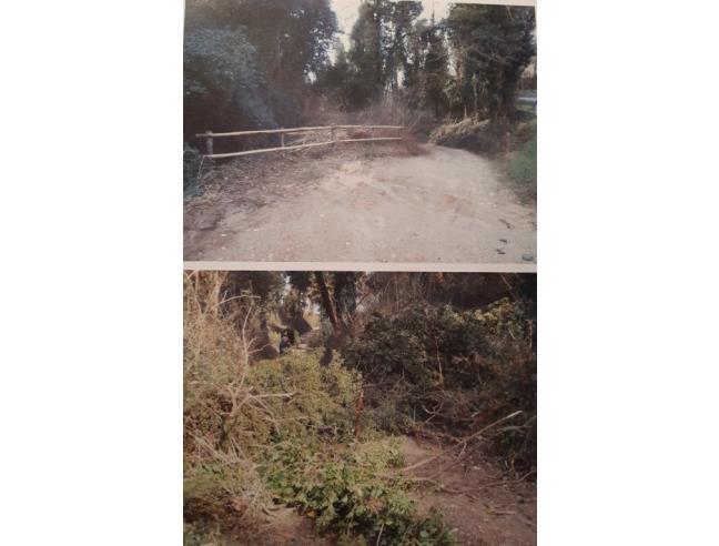 Anteprima foto 4 - Terreno Agricolo/Coltura in Vendita a Casciana Terme Lari (Pisa)