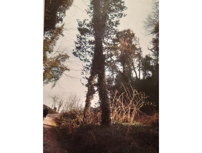 Anteprima foto 5 - Terreno Agricolo/Coltura in Vendita a Casciana Terme Lari (Pisa)