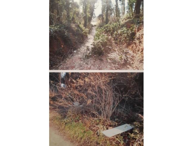 Anteprima foto 8 - Terreno Agricolo/Coltura in Vendita a Casciana Terme Lari (Pisa)