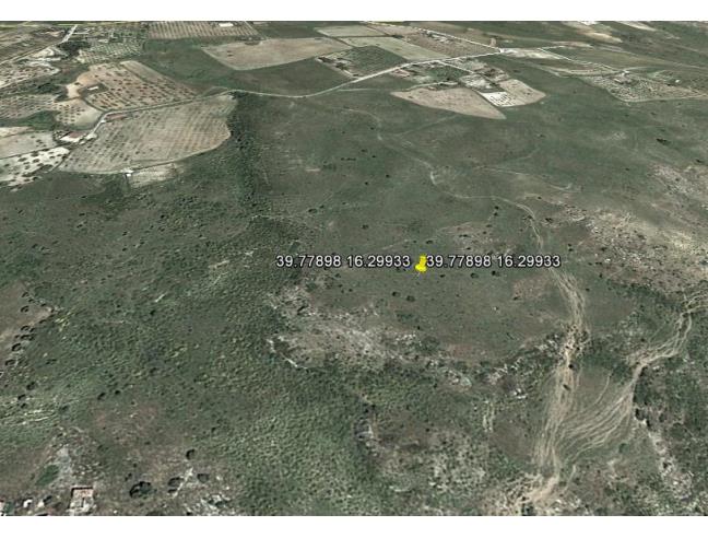 Anteprima foto 2 - Terreno Agricolo/Coltura in Vendita a Cassano all'Ionio (Cosenza)