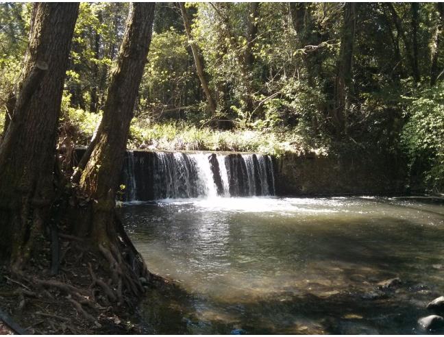 Anteprima foto 4 - Terreno Agricolo/Coltura in Vendita a Castel del Piano - Montegiovi