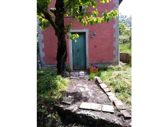 Anteprima foto 6 - Terreno Agricolo/Coltura in Vendita a Castel del Piano - Montegiovi