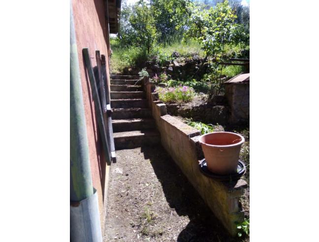 Anteprima foto 7 - Terreno Agricolo/Coltura in Vendita a Castel del Piano - Montegiovi