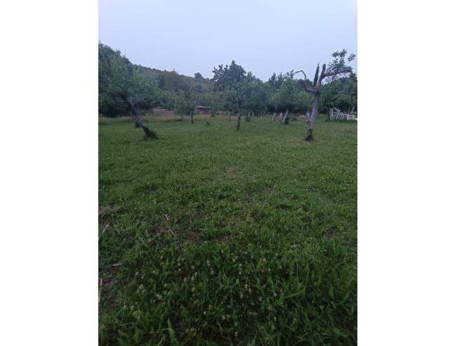 Anteprima foto 3 - Terreno Agricolo/Coltura in Vendita a Castel Madama (Roma)