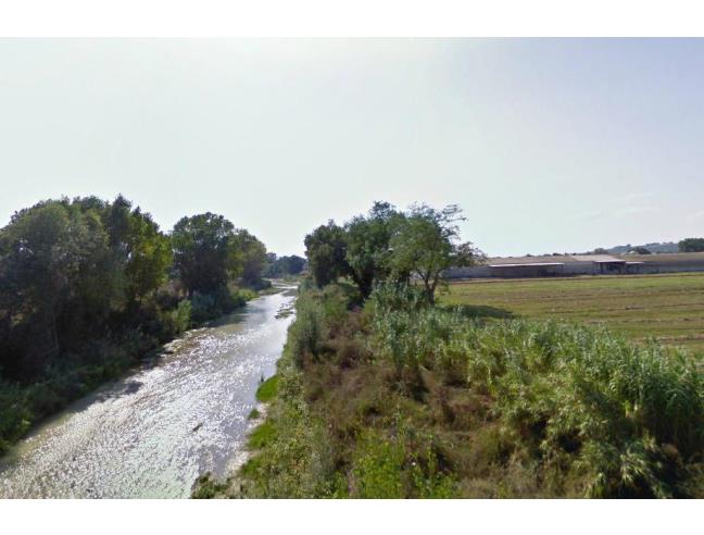 Anteprima foto 1 - Terreno Agricolo/Coltura in Vendita a Castelfidardo (Ancona)