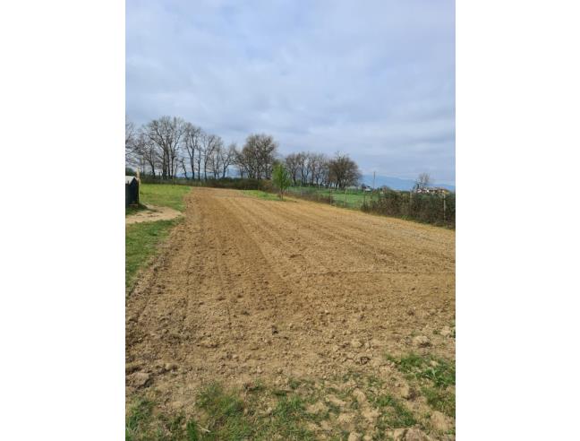 Anteprima foto 1 - Terreno Agricolo/Coltura in Vendita a Castelfranco di Sotto - Villa Campanile