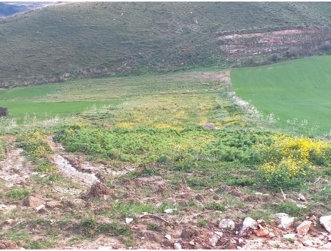 Anteprima foto 1 - Terreno Agricolo/Coltura in Vendita a Castellammare del Golfo - Scopello