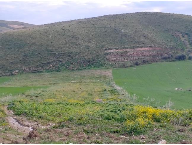 Anteprima foto 4 - Terreno Agricolo/Coltura in Vendita a Castellammare del Golfo - Scopello