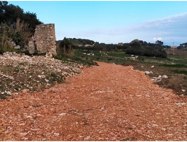 Anteprima foto 5 - Terreno Agricolo/Coltura in Vendita a Castellammare del Golfo - Scopello