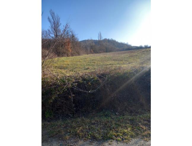 Anteprima foto 1 - Terreno Agricolo/Coltura in Vendita a Castellarano - Roteglia