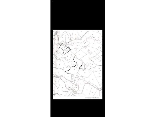 Anteprima foto 2 - Terreno Agricolo/Coltura in Vendita a Castelnuovo di Val di Cecina (Pisa)