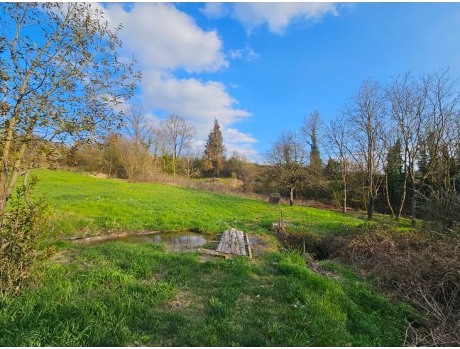 Anteprima foto 1 - Terreno Agricolo/Coltura in Vendita a Castelnuovo Don Bosco (Asti)