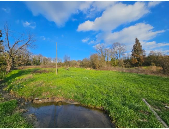 Anteprima foto 3 - Terreno Agricolo/Coltura in Vendita a Castelnuovo Don Bosco (Asti)