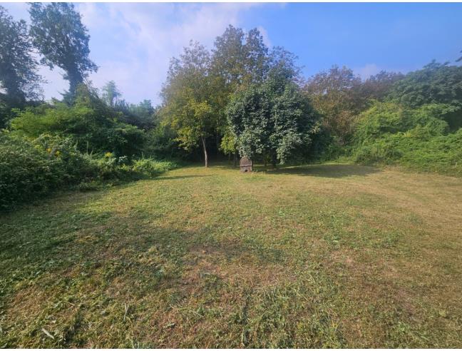 Anteprima foto 4 - Terreno Agricolo/Coltura in Vendita a Castelnuovo Don Bosco (Asti)