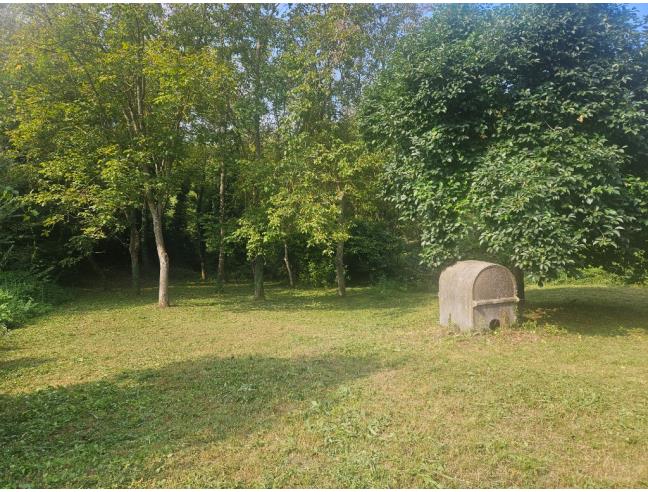 Anteprima foto 5 - Terreno Agricolo/Coltura in Vendita a Castelnuovo Don Bosco (Asti)