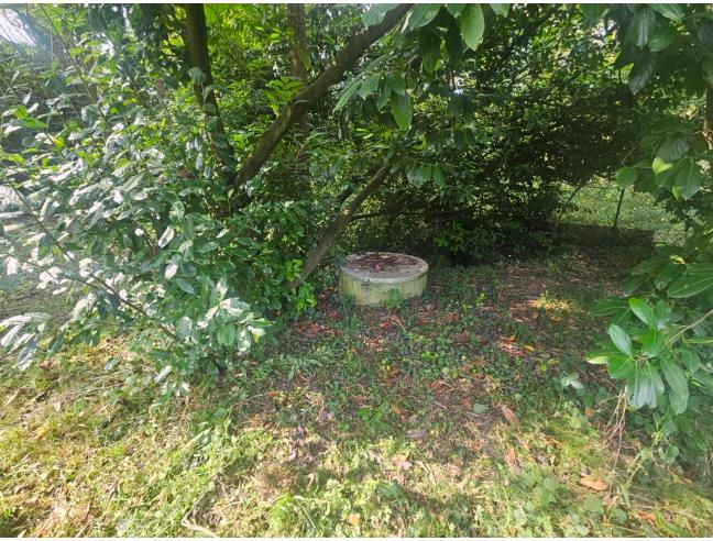 Anteprima foto 6 - Terreno Agricolo/Coltura in Vendita a Castelnuovo Don Bosco (Asti)