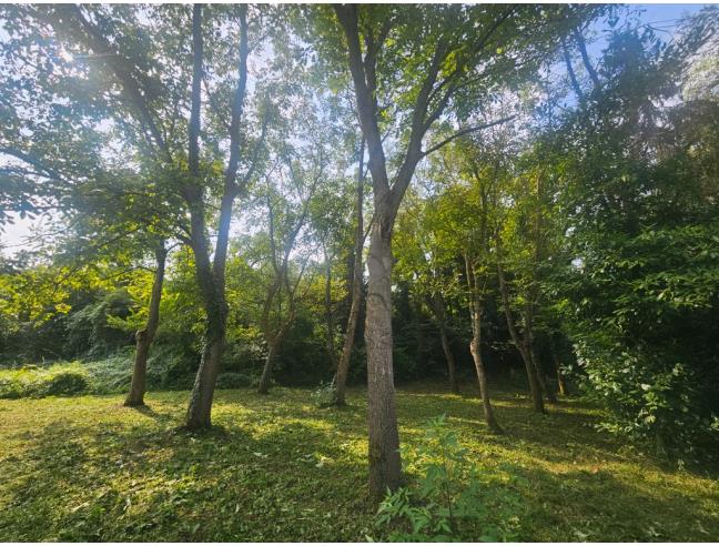 Anteprima foto 7 - Terreno Agricolo/Coltura in Vendita a Castelnuovo Don Bosco (Asti)