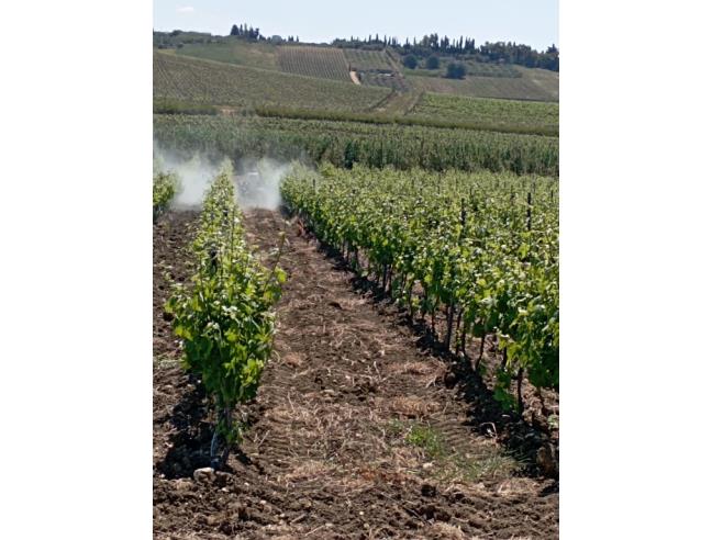 Anteprima foto 1 - Terreno Agricolo/Coltura in Vendita a Castelvetrano (Trapani)