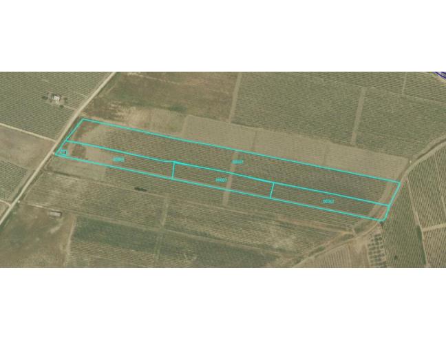 Anteprima foto 2 - Terreno Agricolo/Coltura in Vendita a Castelvetrano (Trapani)