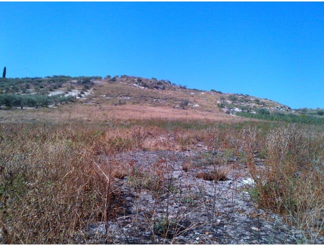 Anteprima foto 7 - Terreno Agricolo/Coltura in Vendita a Castelvetrano (Trapani)