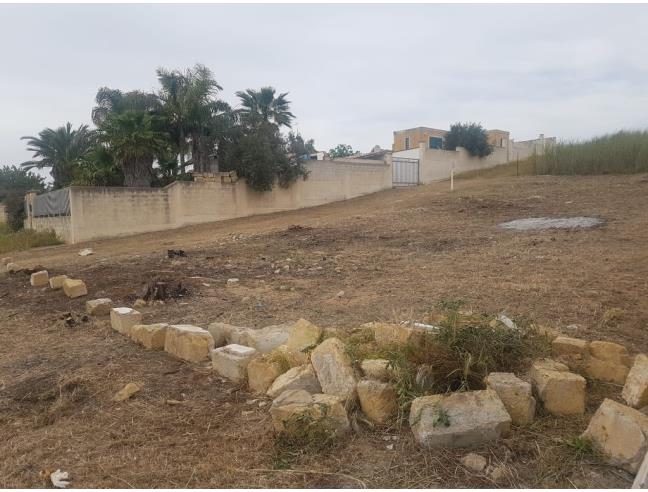 Anteprima foto 2 - Terreno Agricolo/Coltura in Vendita a Castelvetrano - Triscina
