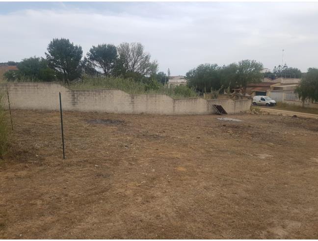 Anteprima foto 3 - Terreno Agricolo/Coltura in Vendita a Castelvetrano - Triscina