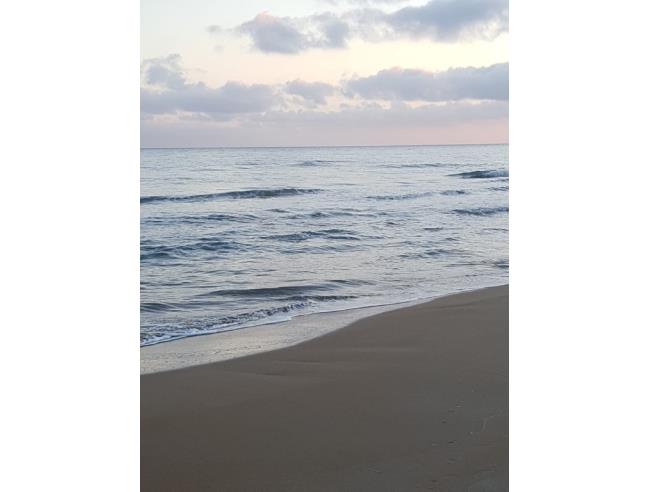 Anteprima foto 4 - Terreno Agricolo/Coltura in Vendita a Castelvetrano - Triscina