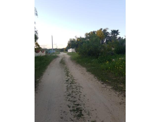 Anteprima foto 5 - Terreno Agricolo/Coltura in Vendita a Castelvetrano - Triscina
