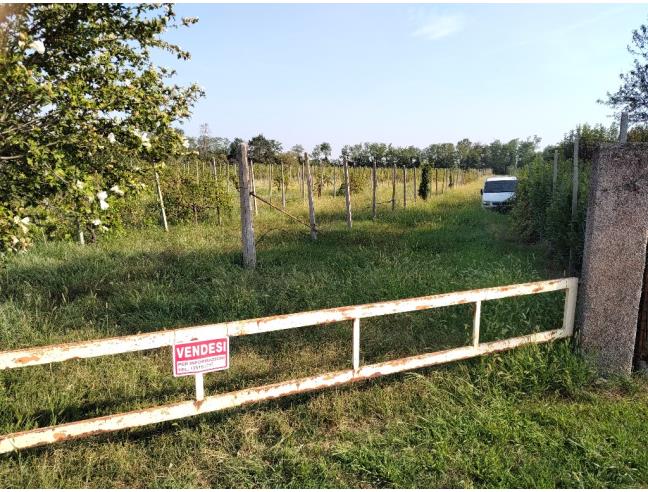 Anteprima foto 2 - Terreno Agricolo/Coltura in Vendita a Castenedolo (Brescia)