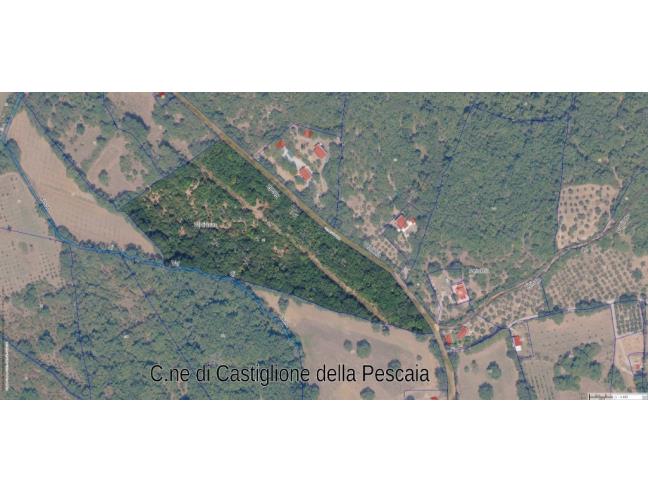 Anteprima foto 2 - Terreno Agricolo/Coltura in Vendita a Castiglione della Pescaia - Vetulonia