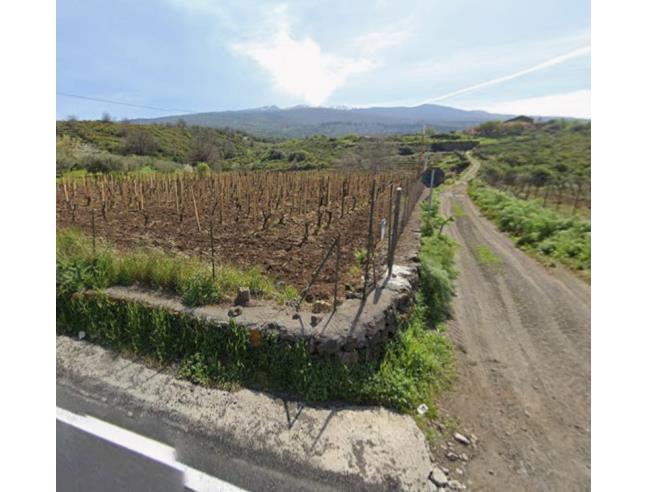 Anteprima foto 3 - Terreno Agricolo/Coltura in Vendita a Castiglione di Sicilia - Solicchiata