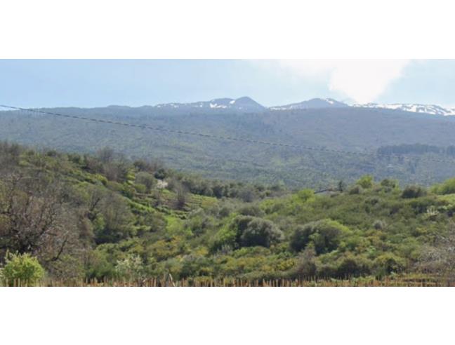 Anteprima foto 4 - Terreno Agricolo/Coltura in Vendita a Castiglione di Sicilia - Solicchiata