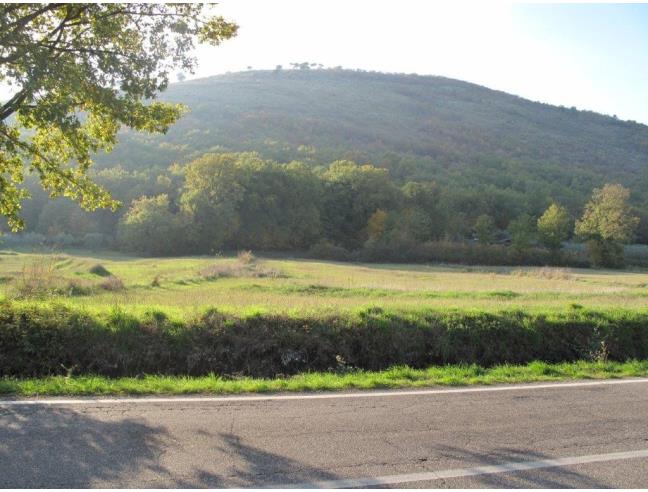 Anteprima foto 3 - Terreno Agricolo/Coltura in Vendita a Castro dei Volsci (Frosinone)