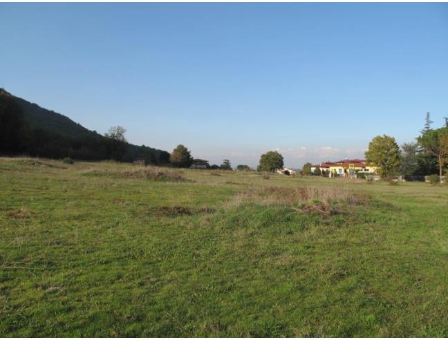 Anteprima foto 5 - Terreno Agricolo/Coltura in Vendita a Castro dei Volsci (Frosinone)