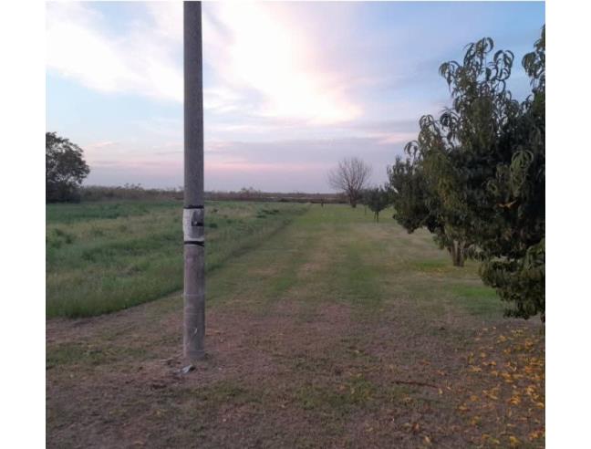 Anteprima foto 4 - Terreno Agricolo/Coltura in Vendita a Cavallino-Treporti (Venezia)