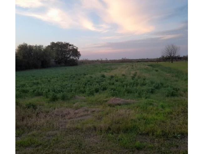Anteprima foto 5 - Terreno Agricolo/Coltura in Vendita a Cavallino-Treporti (Venezia)