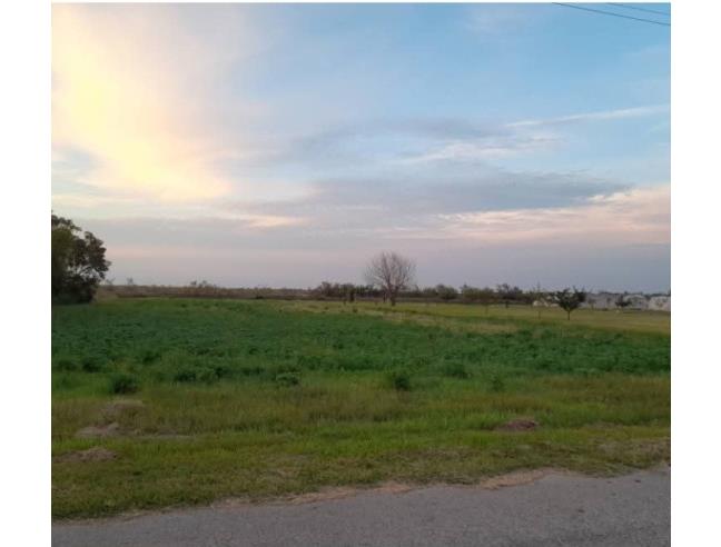 Anteprima foto 6 - Terreno Agricolo/Coltura in Vendita a Cavallino-Treporti (Venezia)