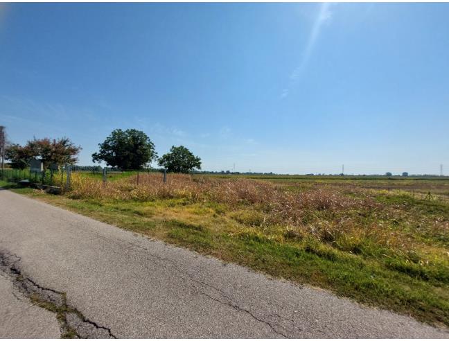 Anteprima foto 1 - Terreno Agricolo/Coltura in Vendita a Cavarzere (Venezia)