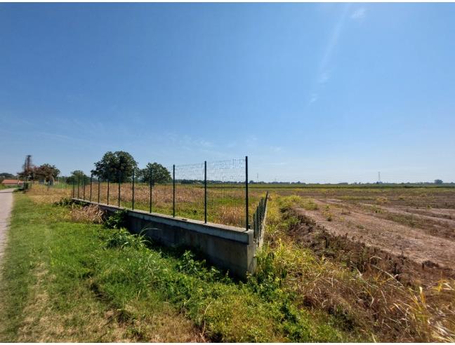 Anteprima foto 2 - Terreno Agricolo/Coltura in Vendita a Cavarzere (Venezia)