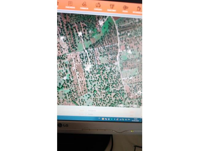 Anteprima foto 2 - Terreno Agricolo/Coltura in Vendita a Ceglie Messapica (Brindisi)